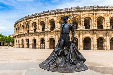 Vente de volaille à Nîmes