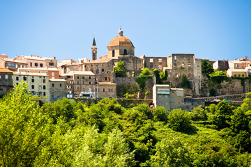 Vente de volaille à Aubenas