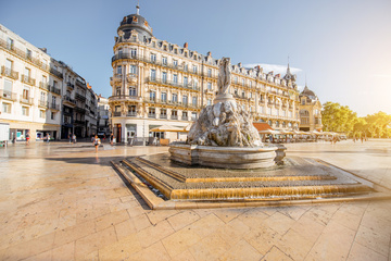Vente de volaille à Montpellier